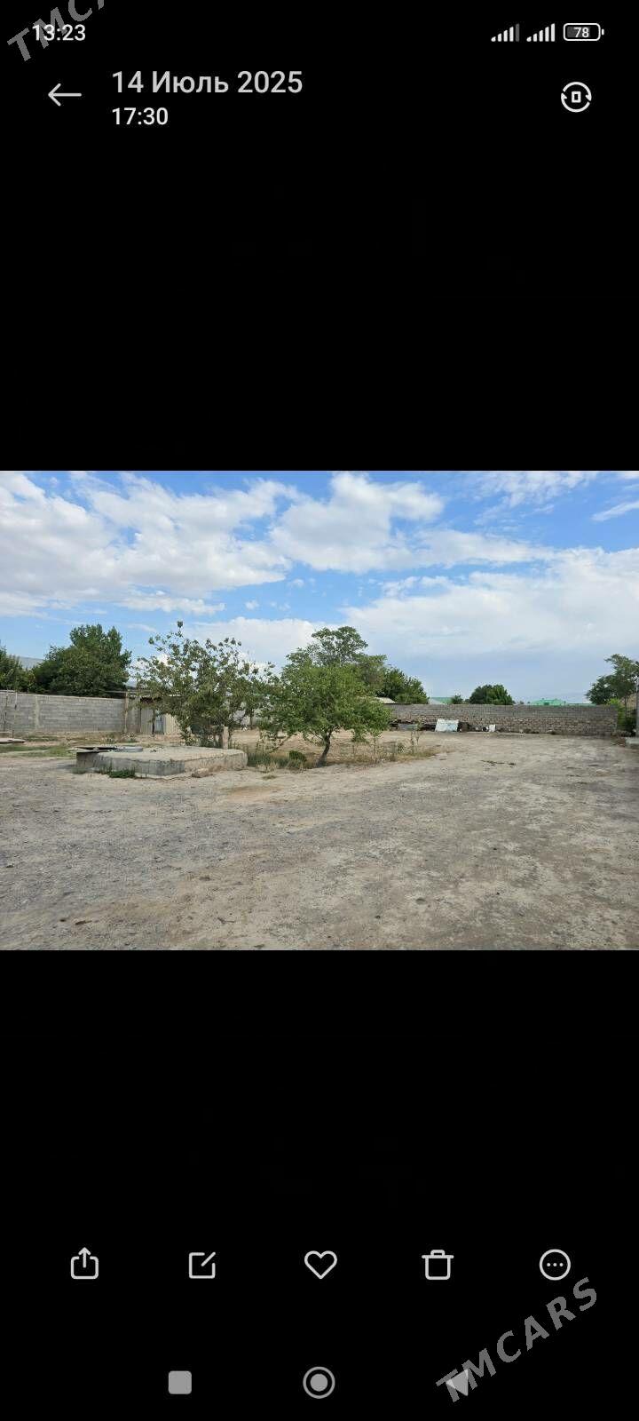 mellek yer - Анев - img 1