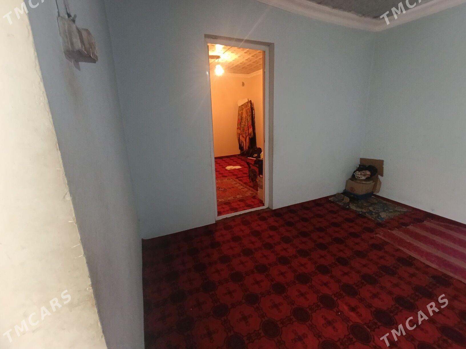 wiremyanka jay - Garagum etraby - img 2