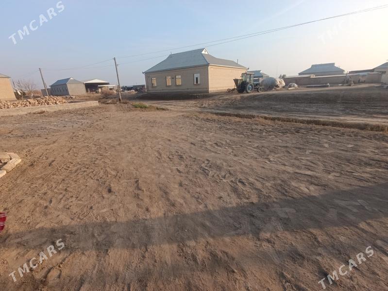 wiremyanka jay - Garagum etraby - img 6