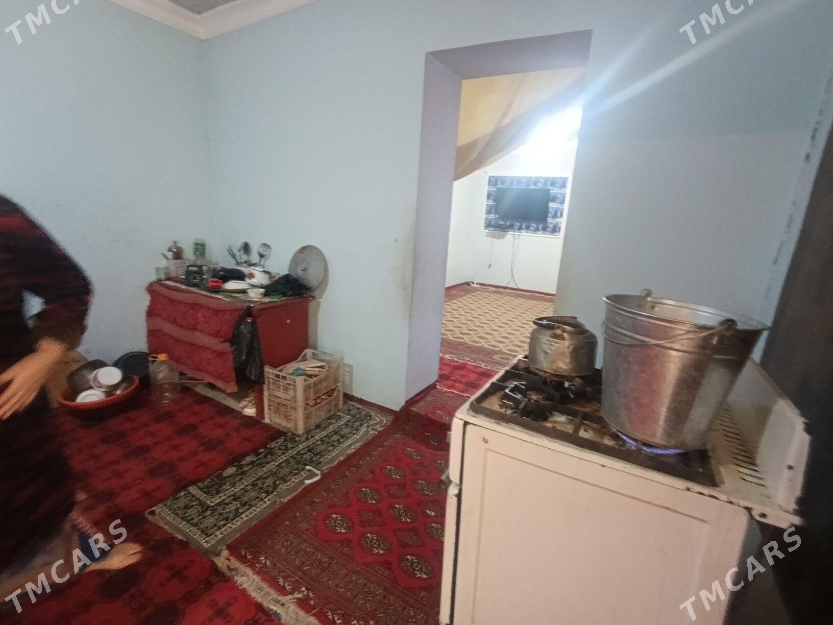 wiremyanka jay - Garagum etraby - img 1