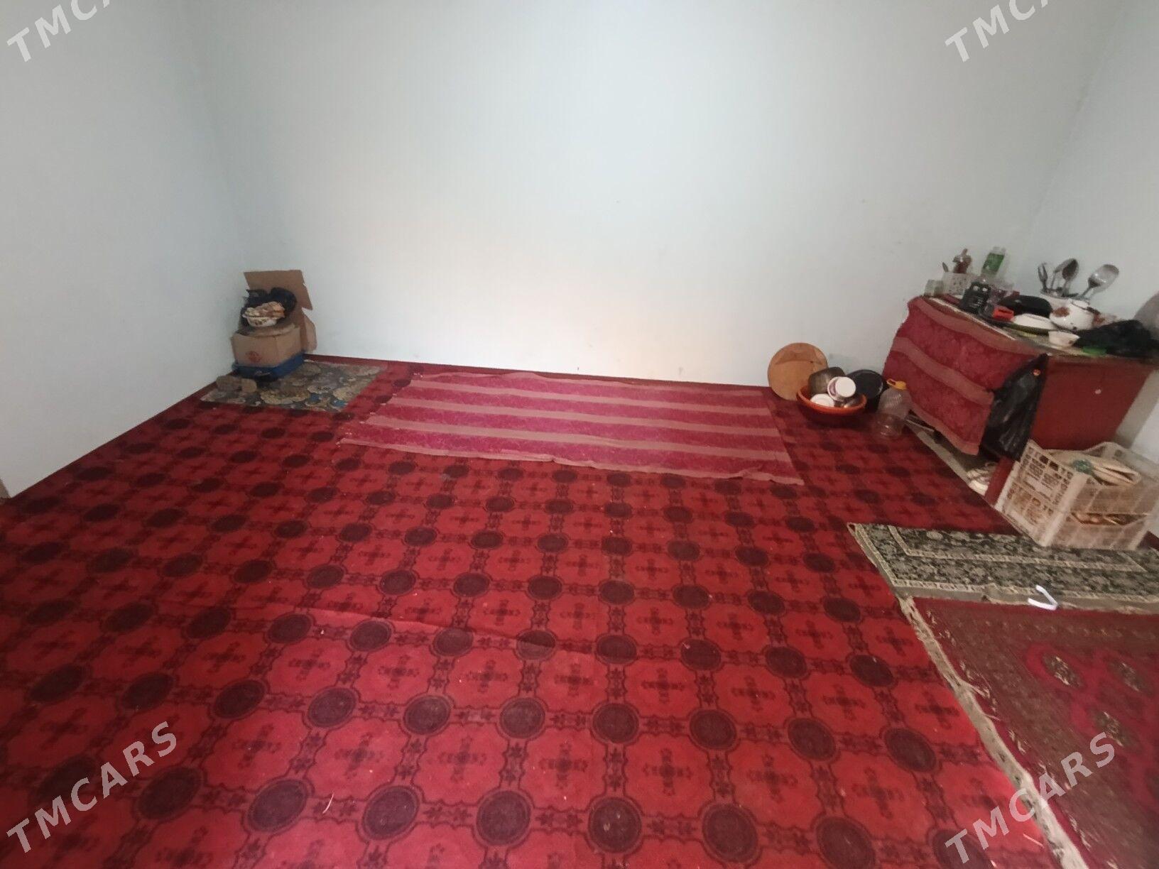 wiremyanka jay - Garagum etraby - img 3