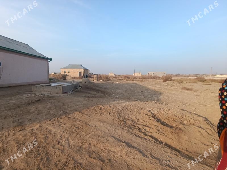 wiremyanka jay - Garagum etraby - img 7