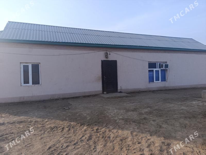 wiremyanka jay - Garagum etraby - img 4