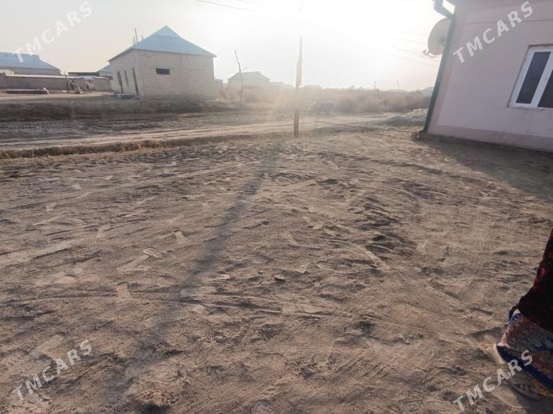 wiremyanka jay - Garagum etraby - img 5