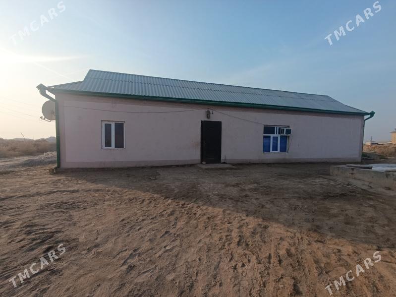 wiremyanka jay - Garagum etraby - img 8