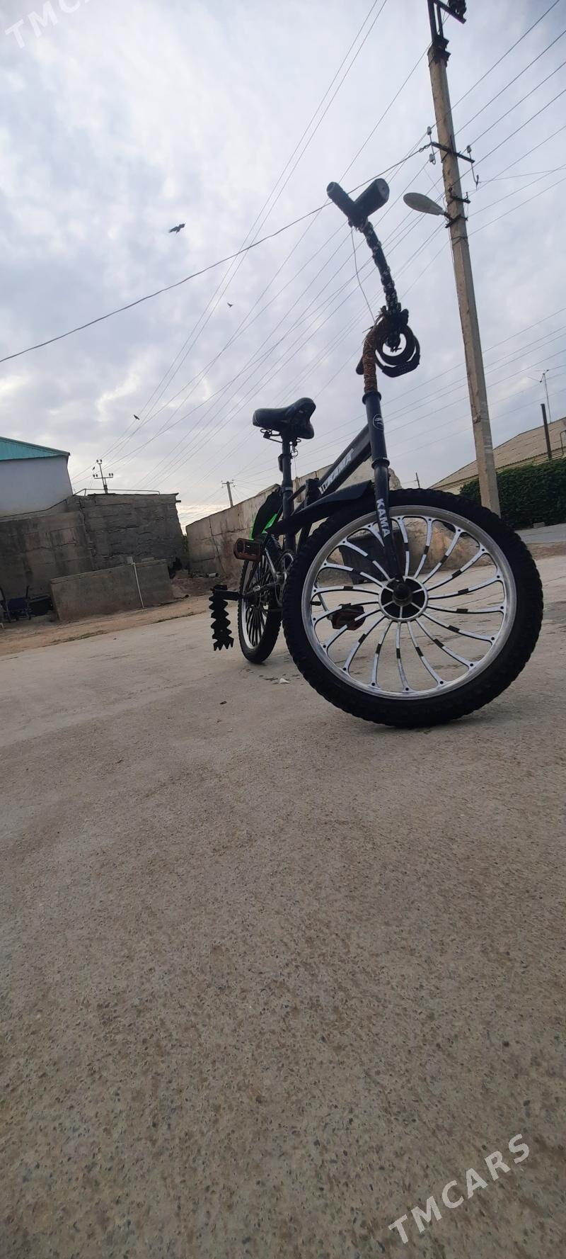 tigir - Багир - img 1