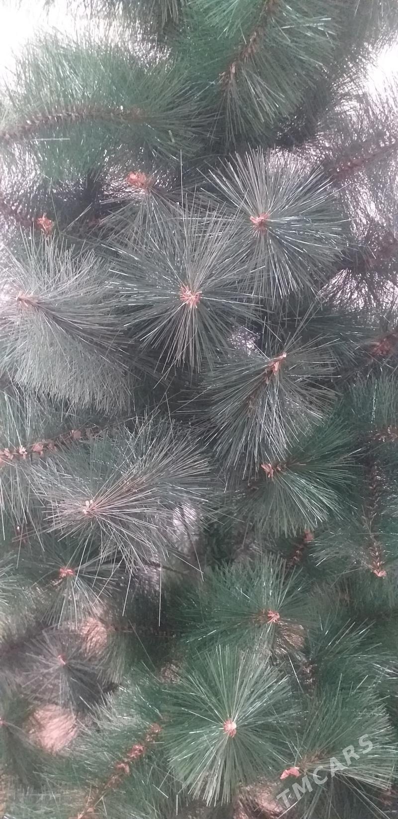 елка - Büzmeýin GRES - img 2