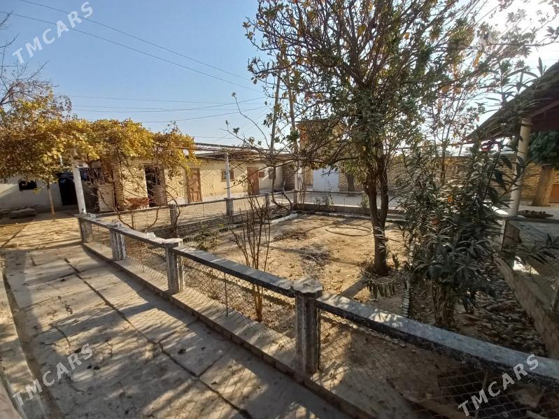 satlyk plan jaý - Kerki - img 2