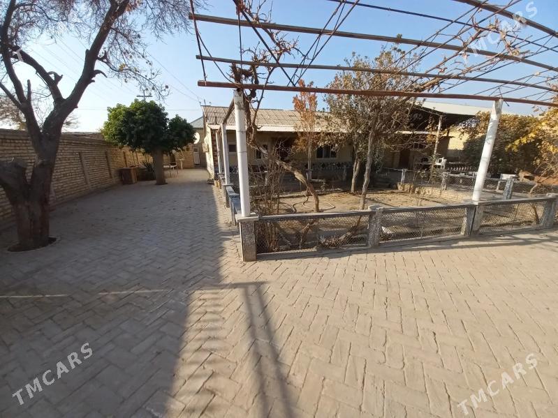 satlyk plan jaý - Kerki - img 3