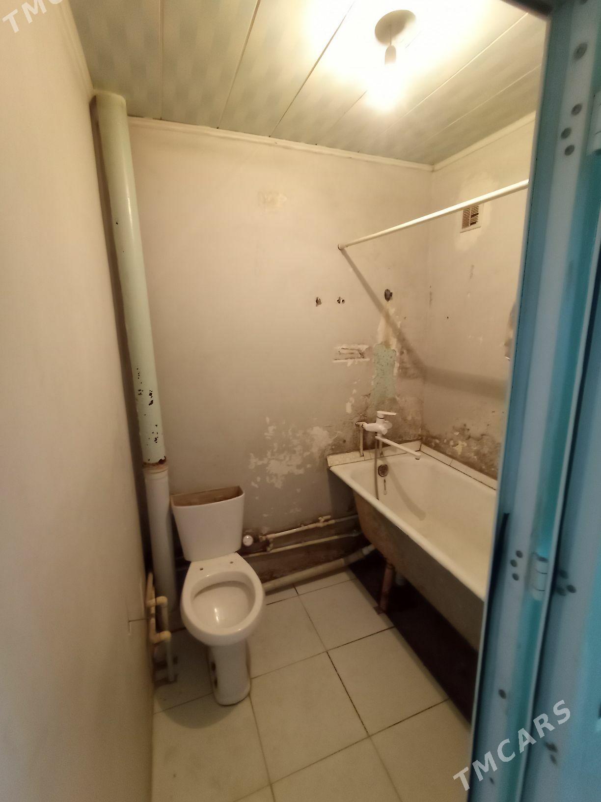 Mary-Şäher-Satlyk-Jay-Gresda - Mary - img 8