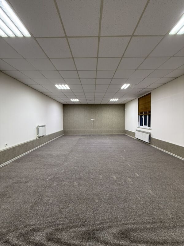 ÄNEW MAGTYMGULY - Анев - img 9