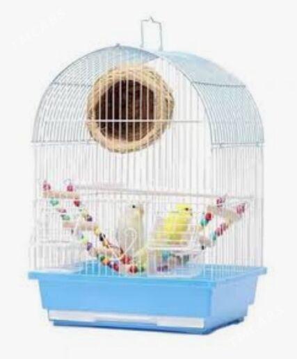 popugay gus setklary melary - Aşgabat - img 1