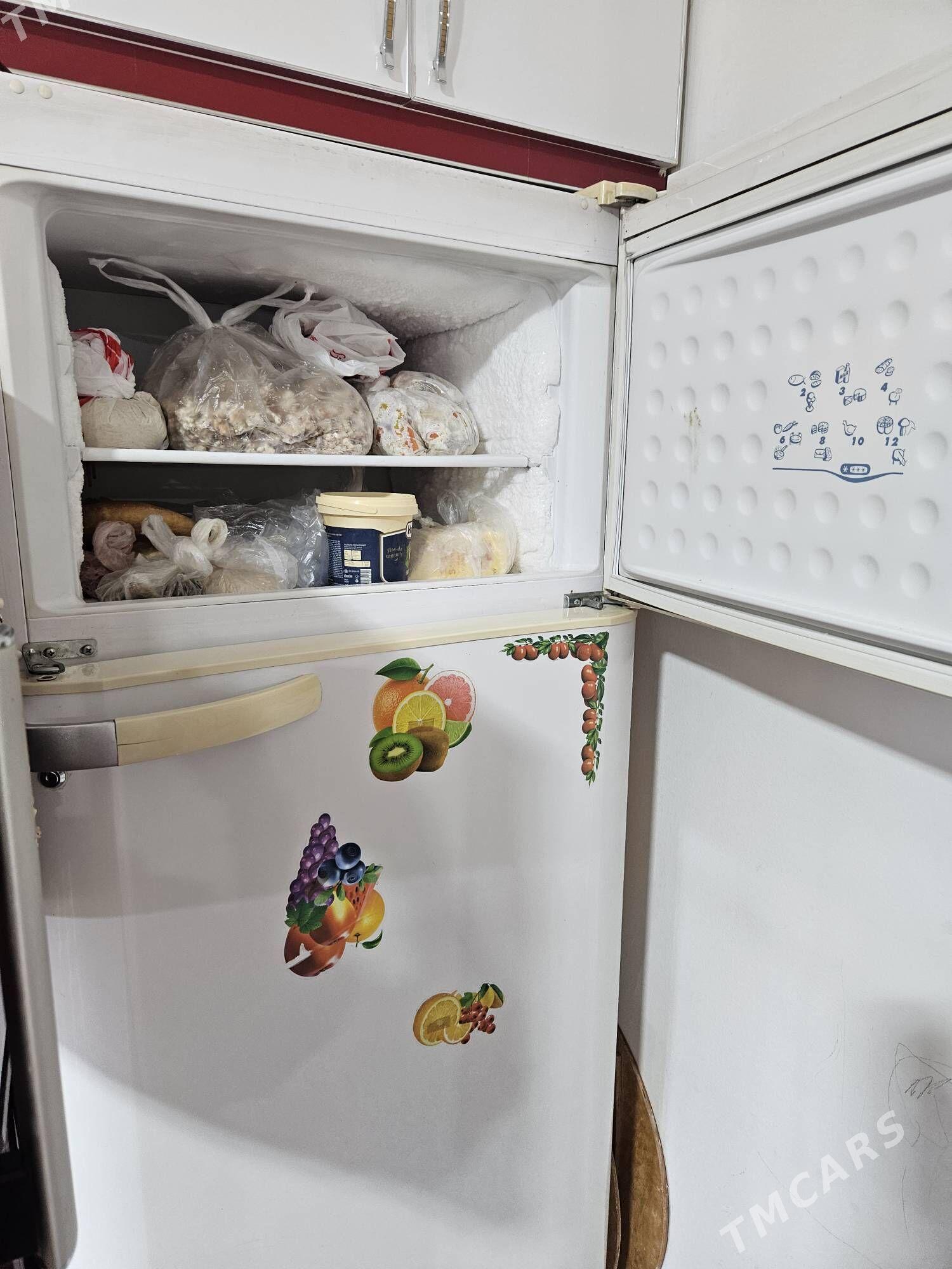 Holladynik - Garadamak Şor - img 2