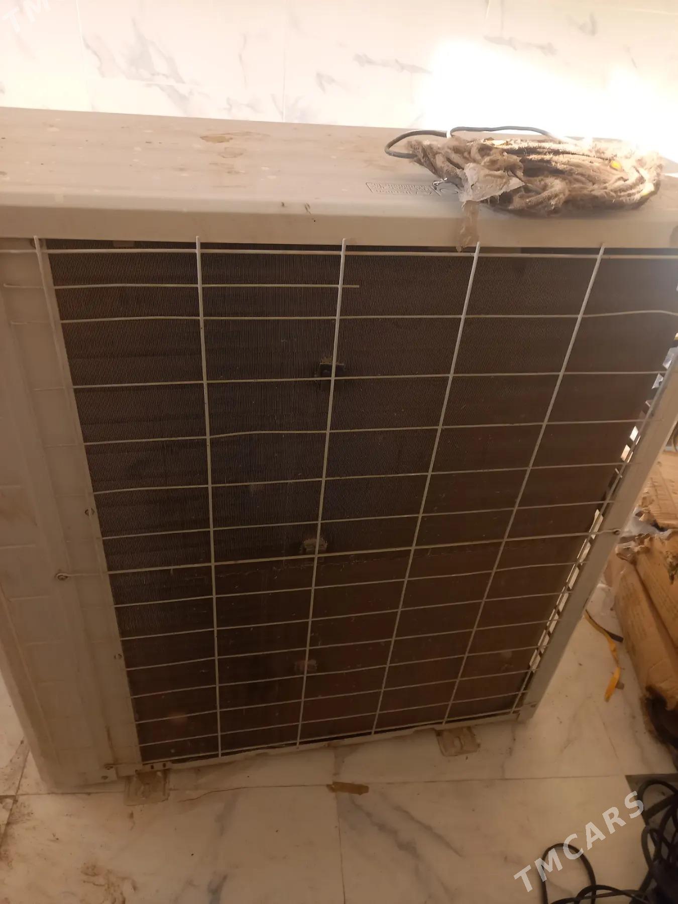 Kantsener York - Багир - img 3