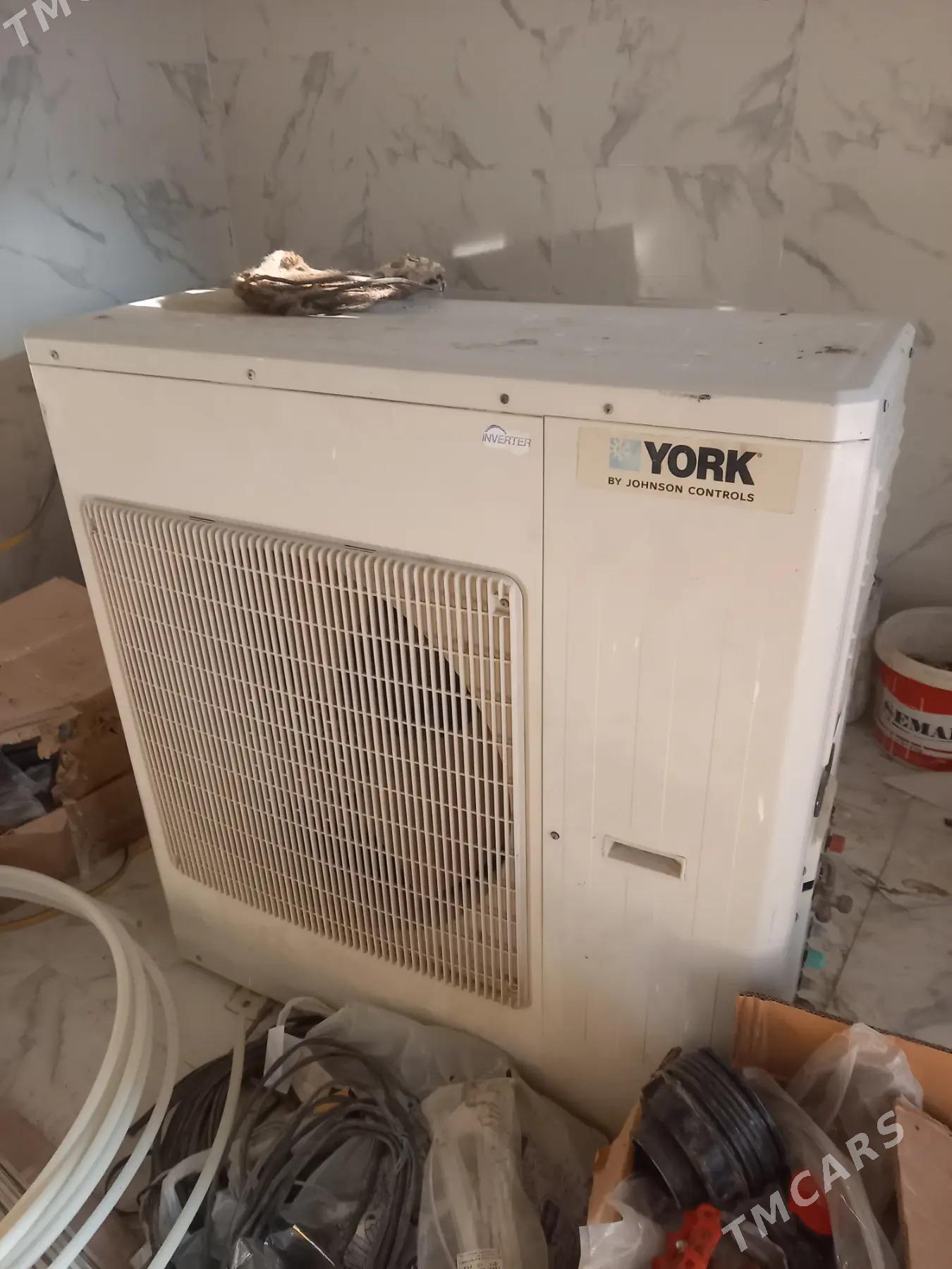 Kantsener York - Багир - img 2