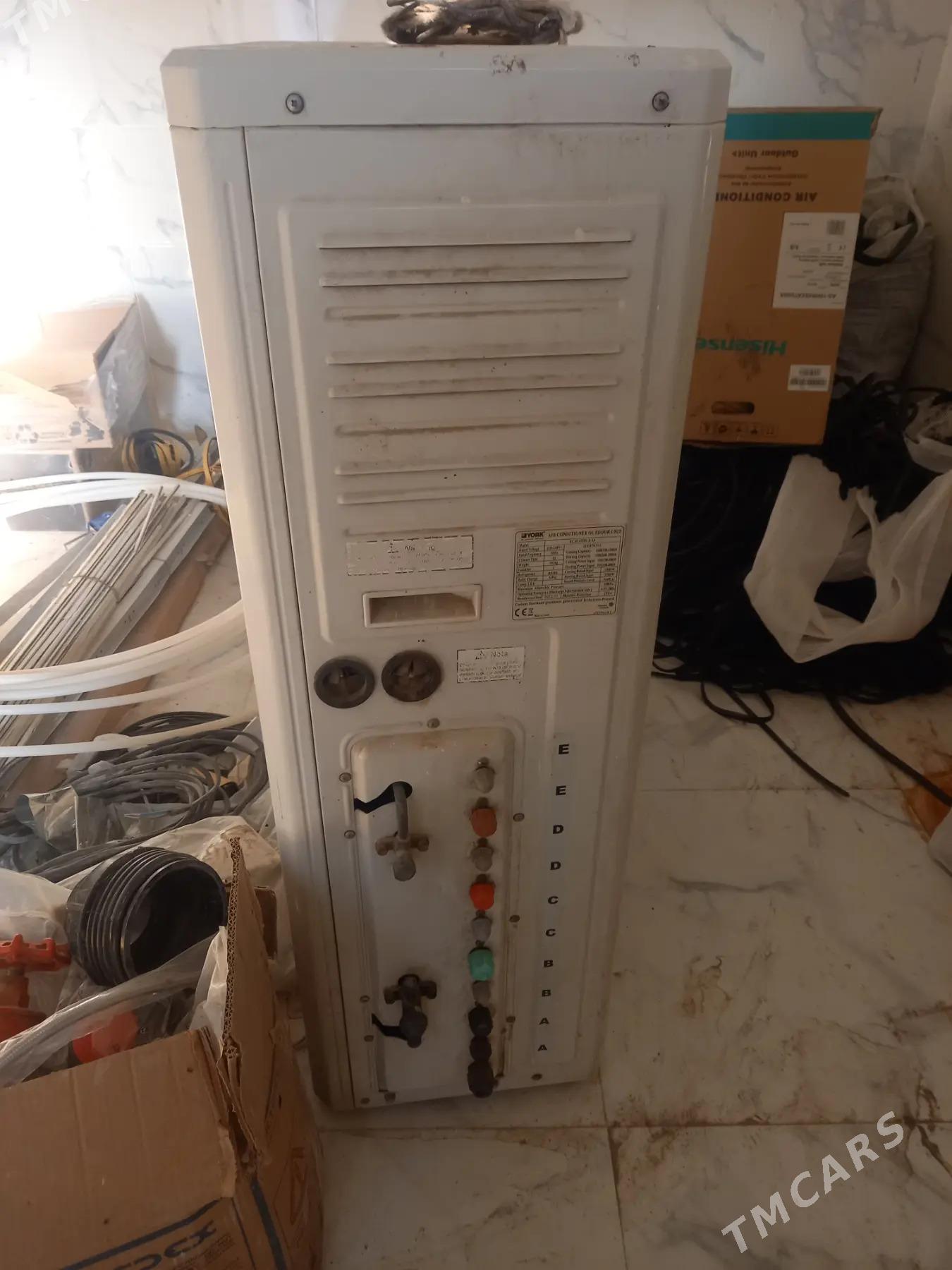 Kantsener York - Багир - img 1