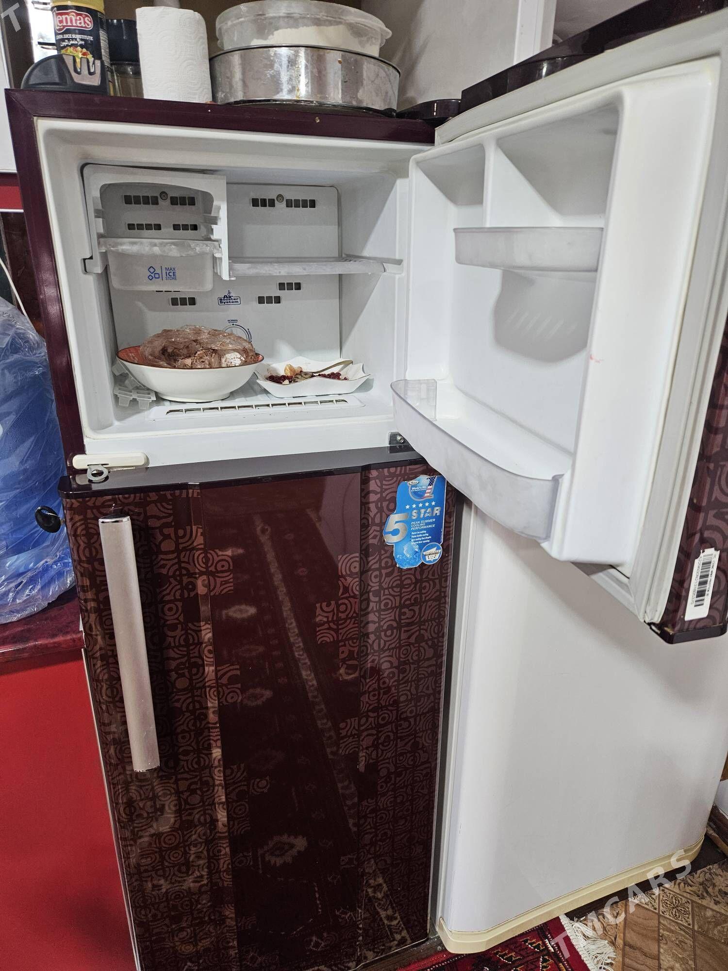 Holladynik - Garadamak Şor - img 4