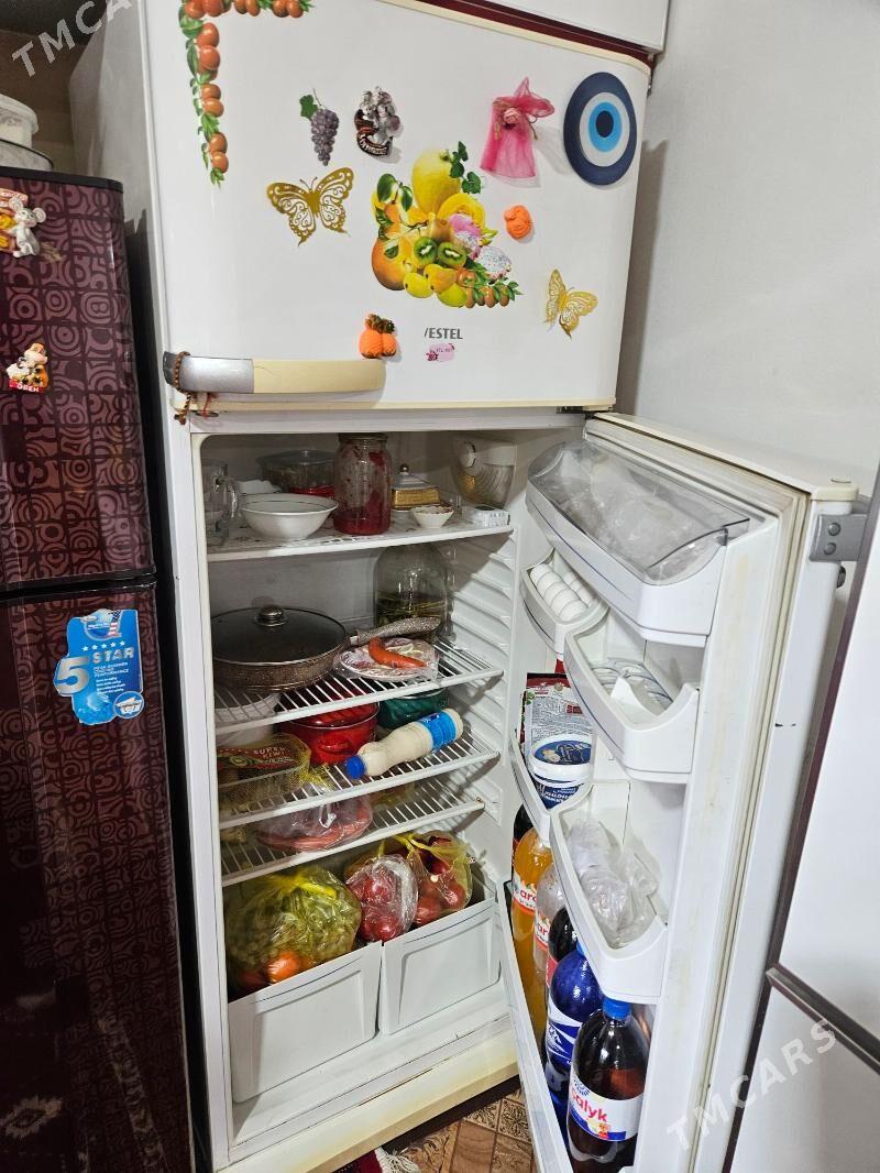 Holladynik - Garadamak Şor - img 7