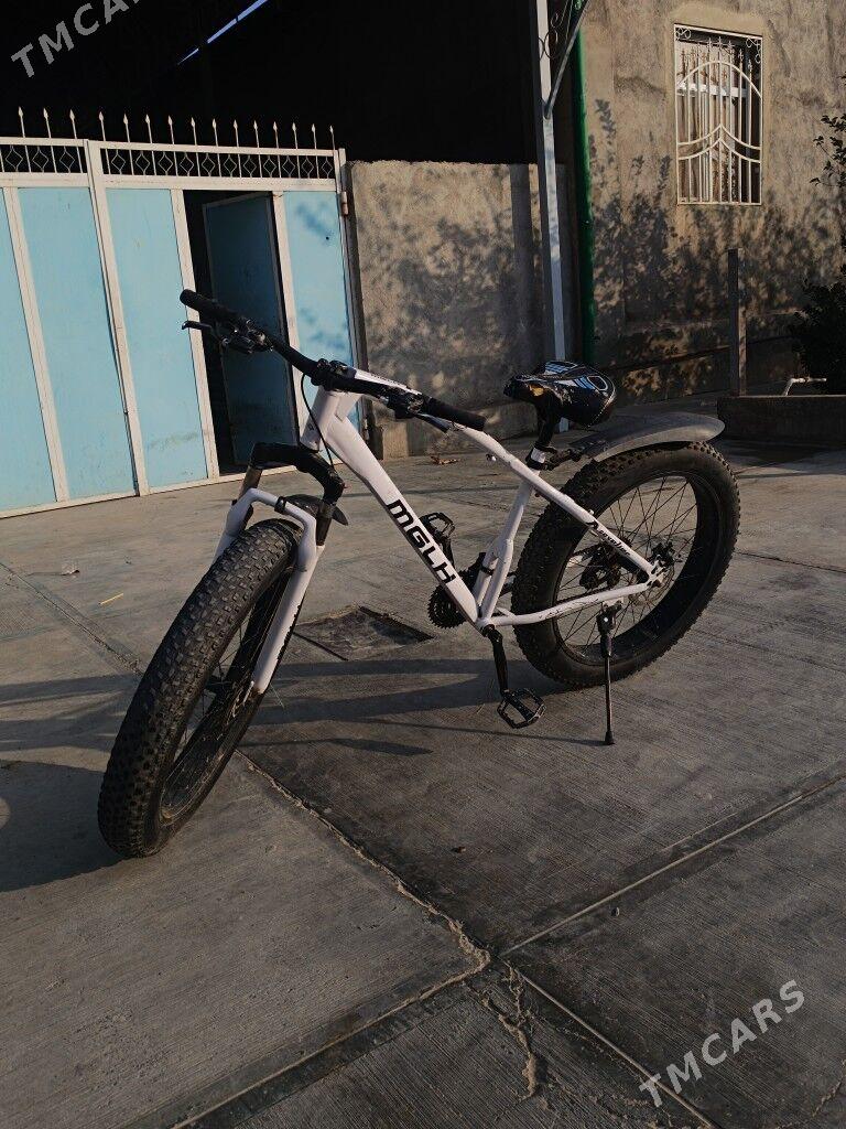 Tigir 26 lik - Ак-Бугдайский этрап - img 2