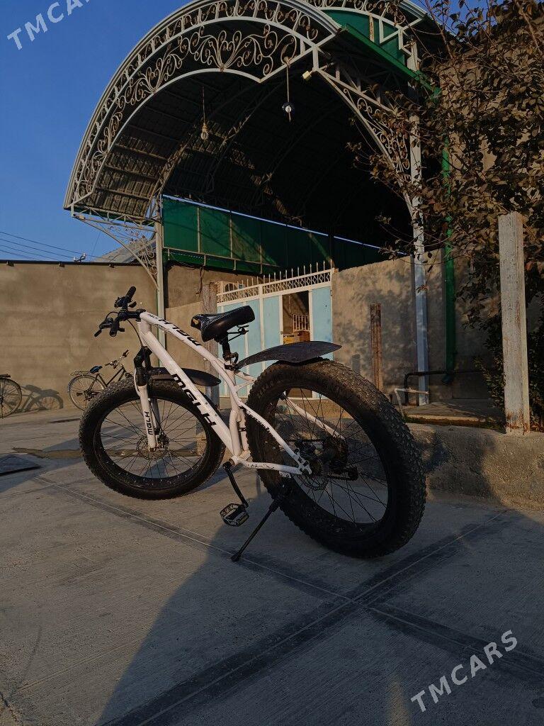 Tigir 26 lik - Ак-Бугдайский этрап - img 3