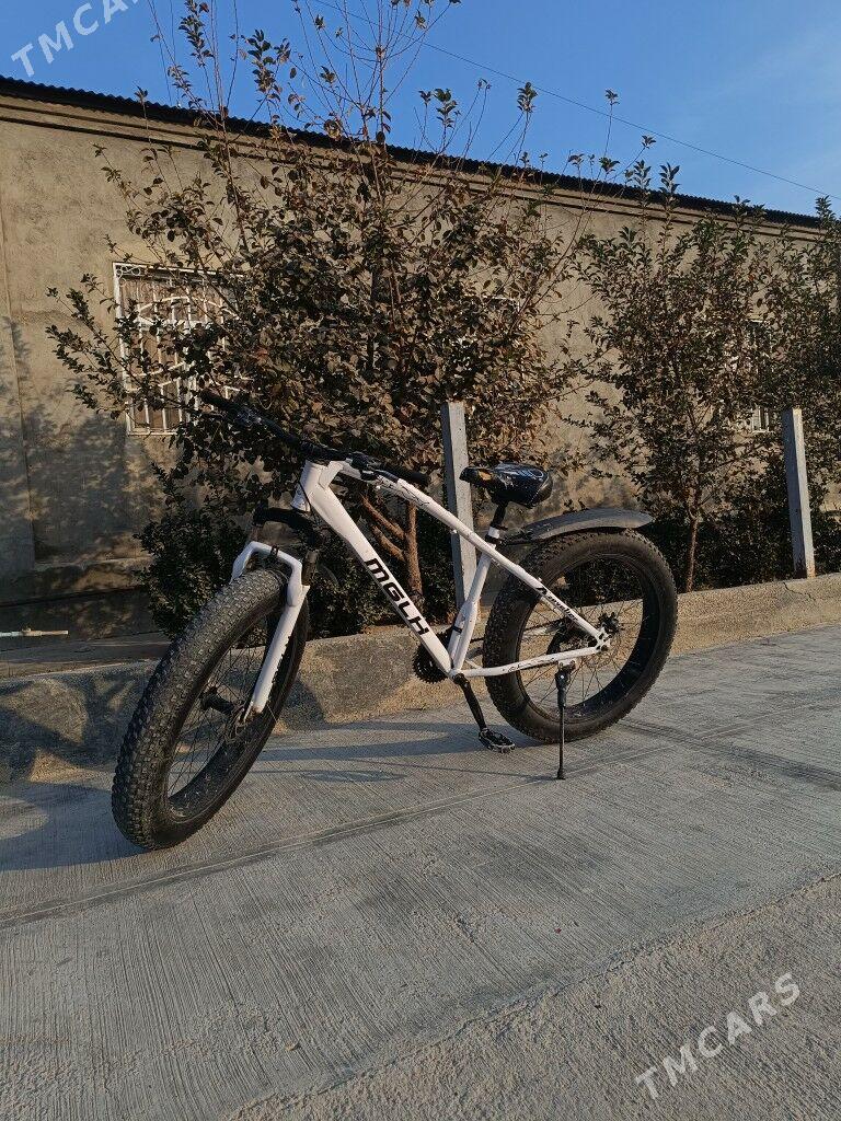 Tigir 26 lik - Ак-Бугдайский этрап - img 1