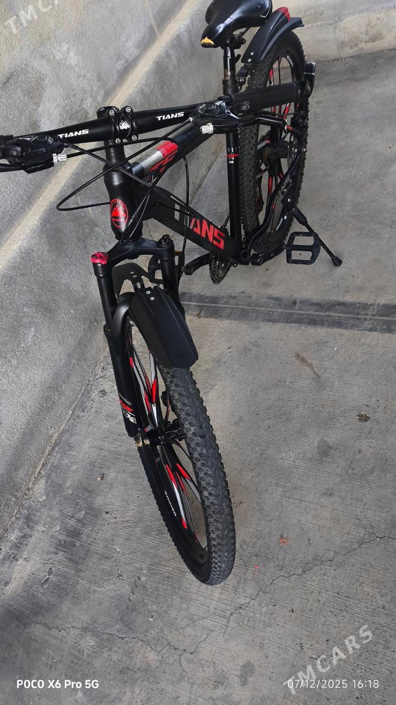 tigir - Бузмеин - img 2