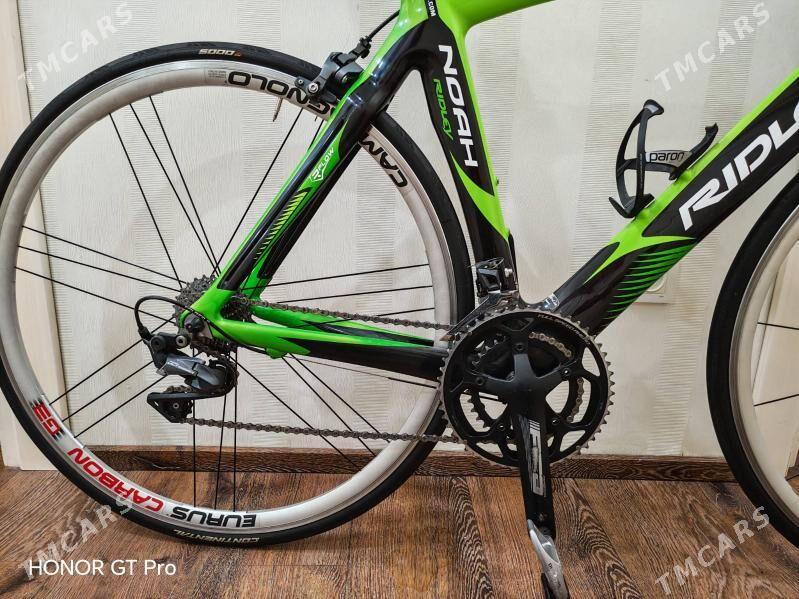 TIGIR CARBON RIDLEY - Ашхабад - img 4