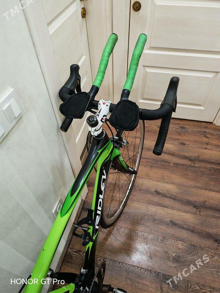 TIGIR CARBON RIDLEY - Ашхабад - img 3