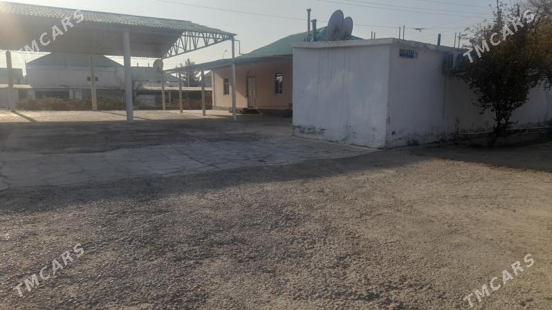 Gypjan jaý - Gypjak - img 3