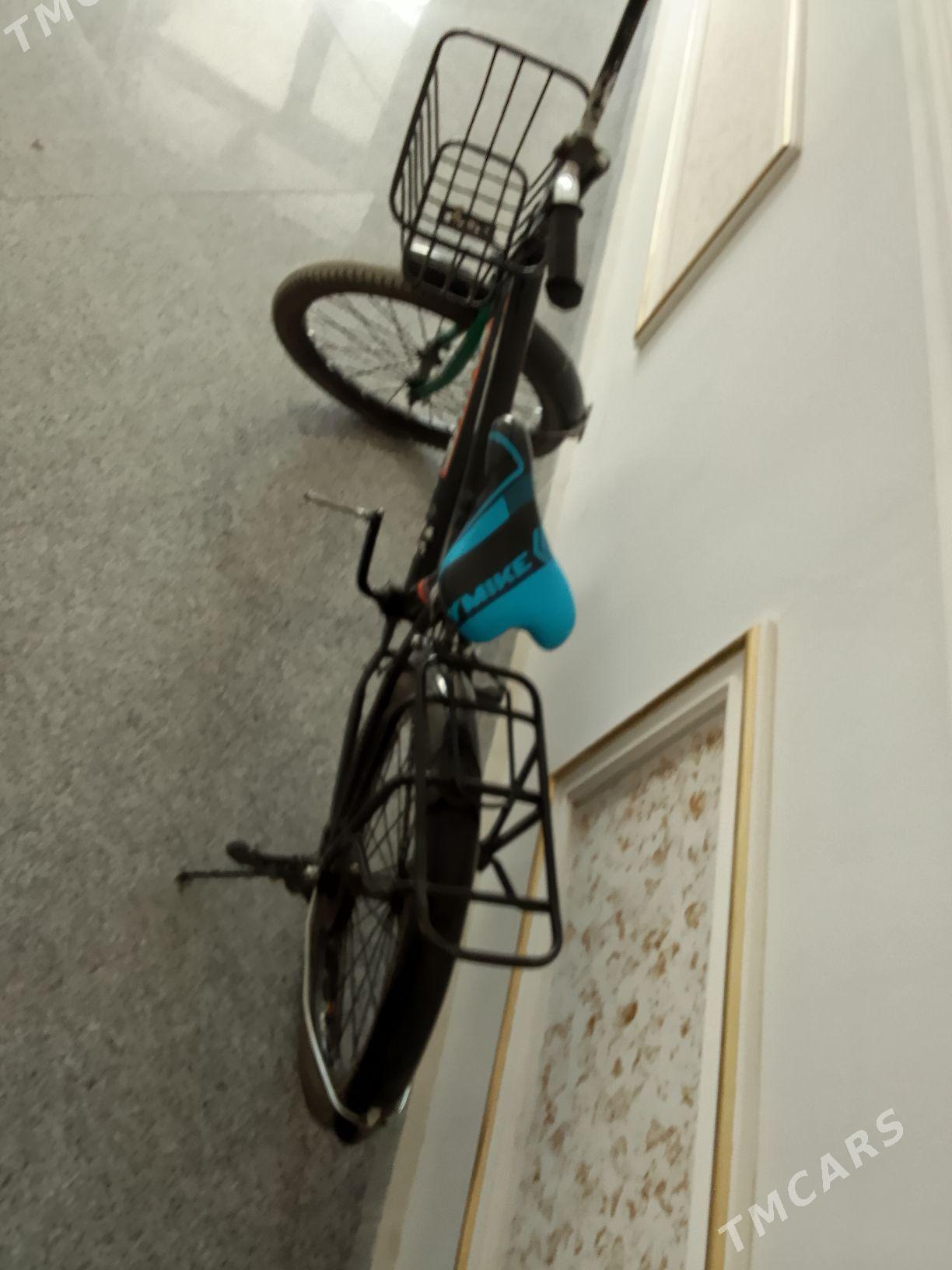 tigir - Аркадаг - img 3