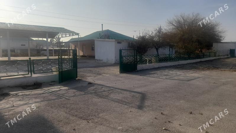 Gypjan jaý - Gypjak - img 4