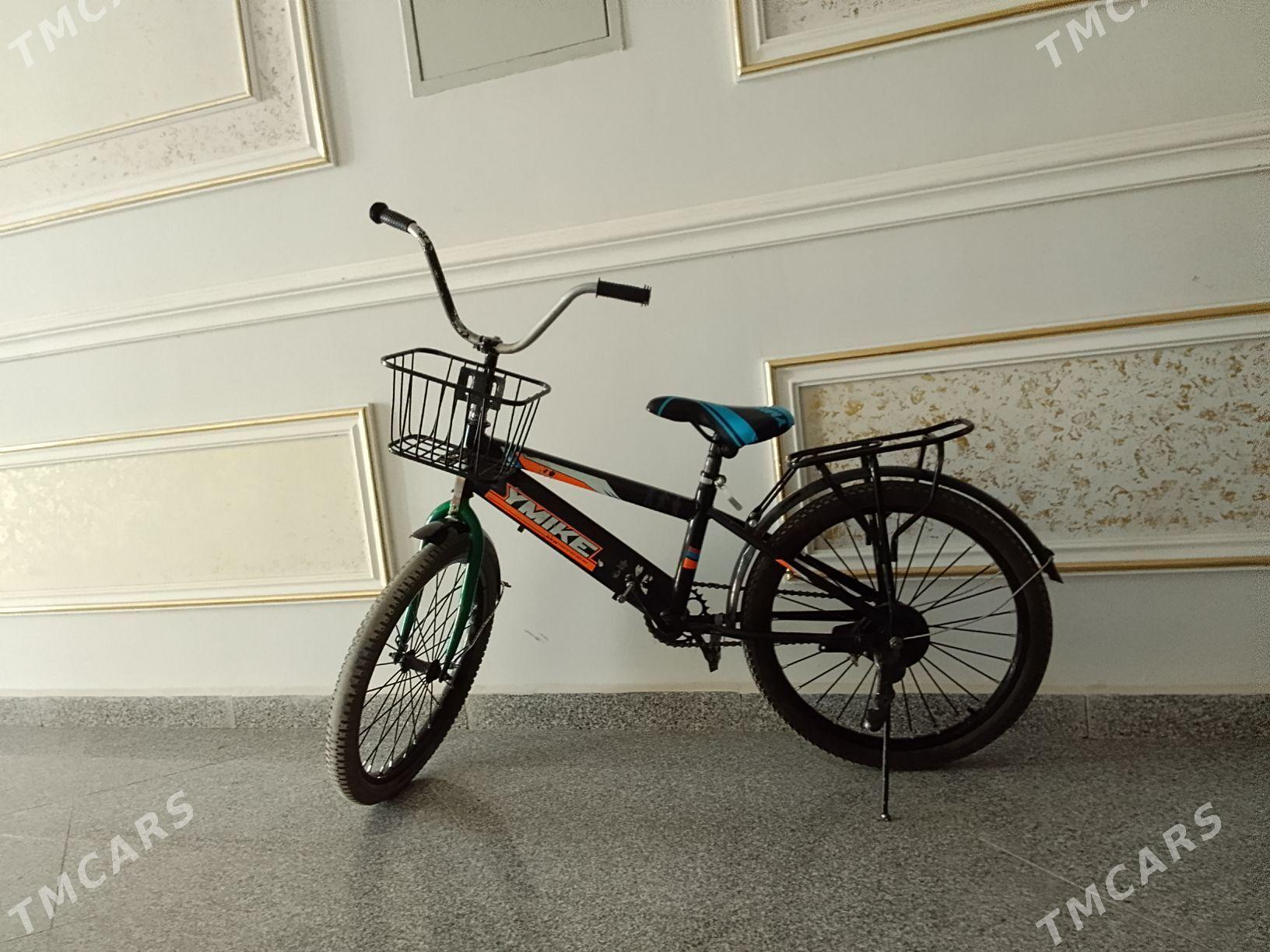 tigir - Аркадаг - img 2