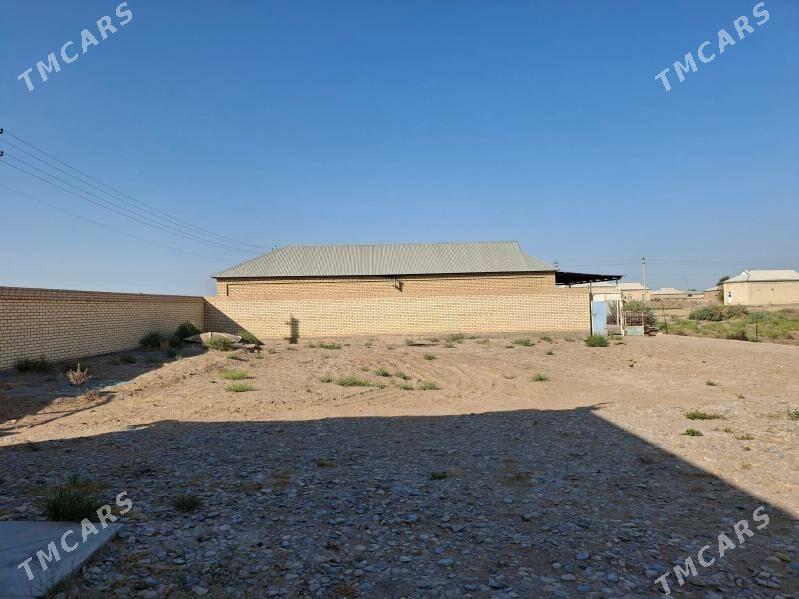 Satlyk howly jaý - Mary - img 7