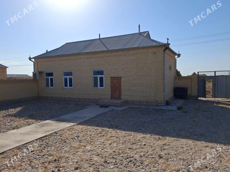 Satlyk howly jaý - Mary - img 1