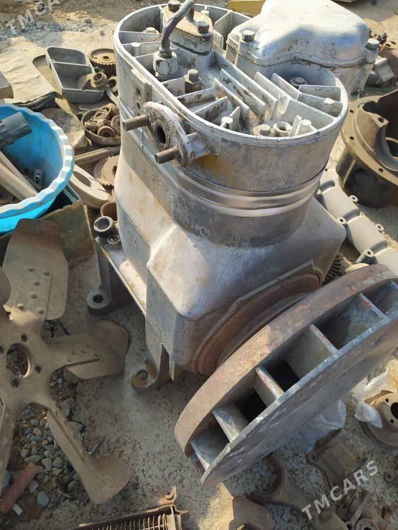 kampyresir - Tejen - img 1