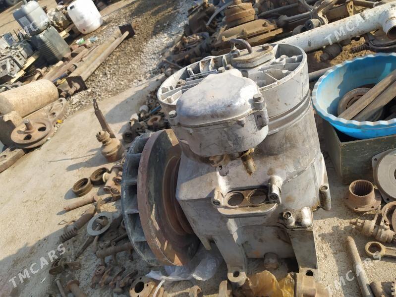 kampyresir - Tejen - img 2