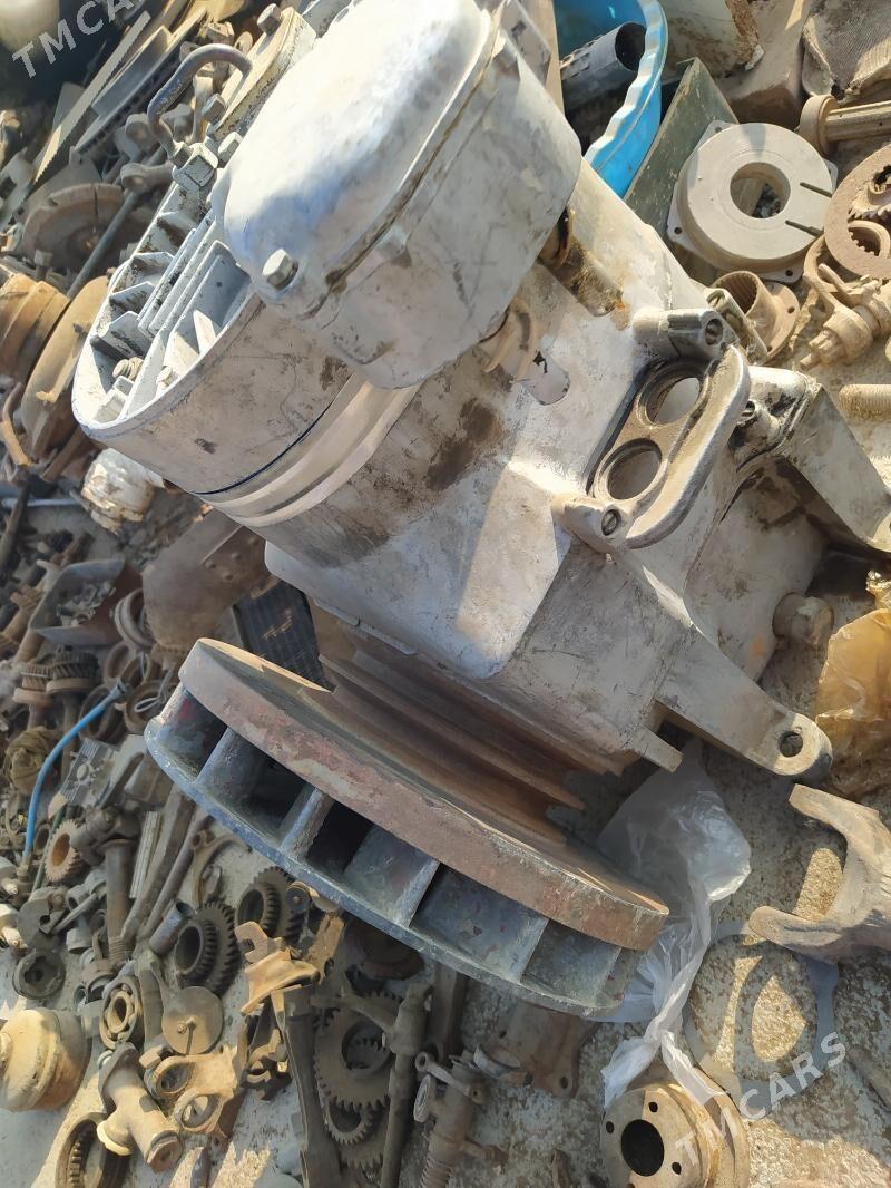 kampyresir - Tejen - img 3