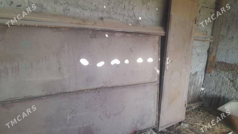 demir warata demir gapy - Бузмеин - img 2