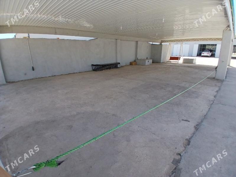 moyka - Теджен - img 4