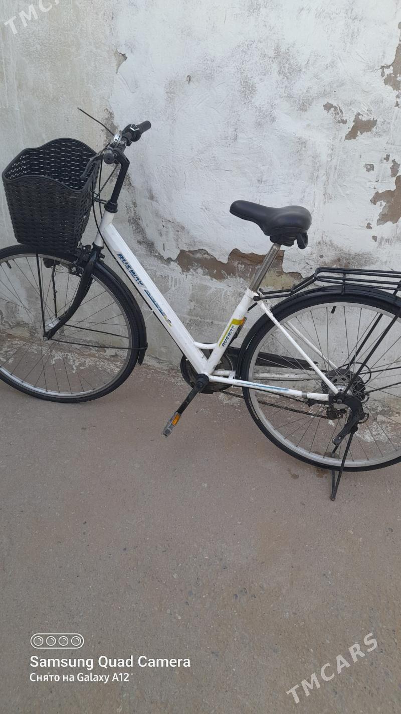 tigr - Arkadag - img 1