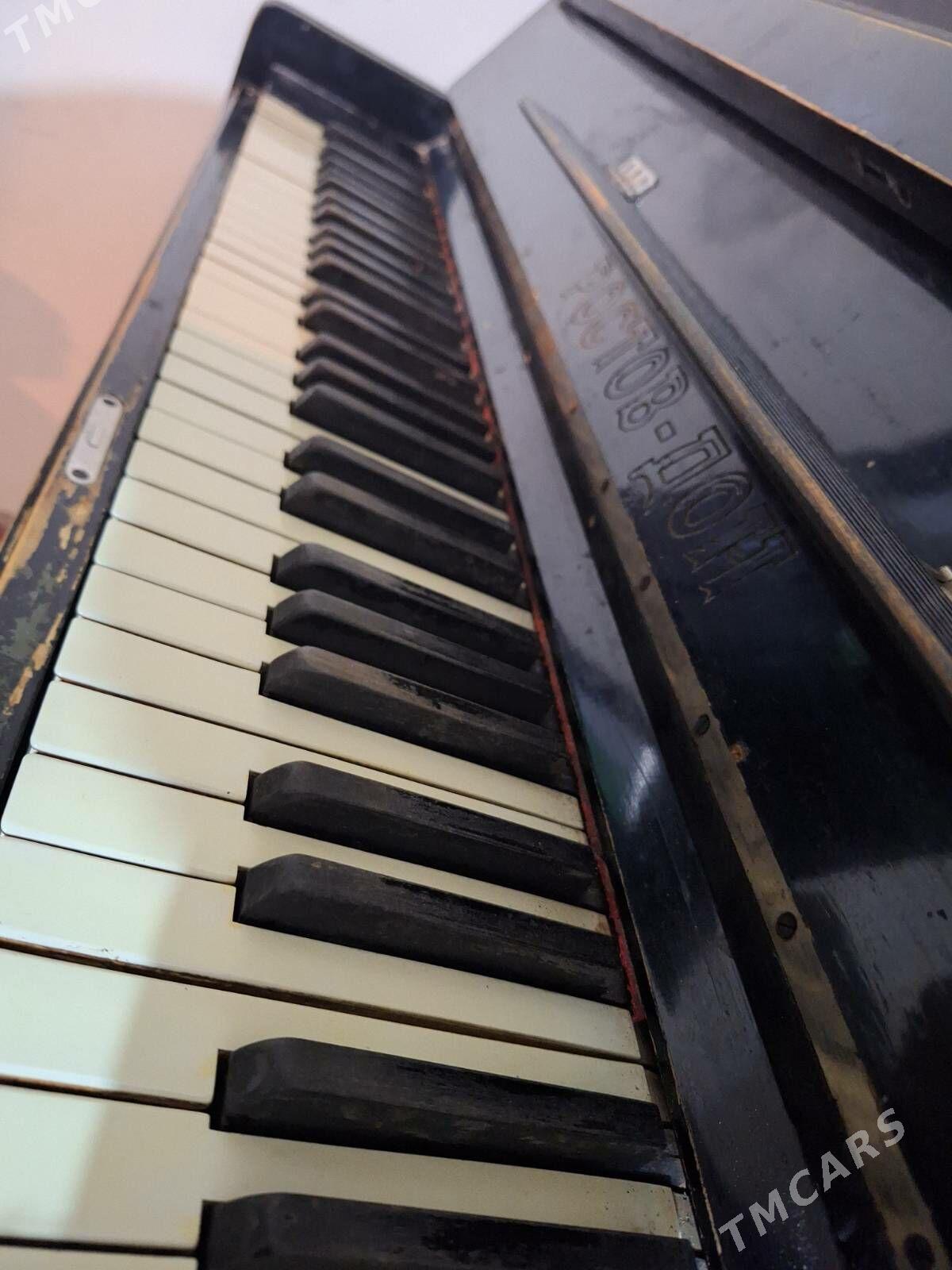 Piyanino - Анев - img 3