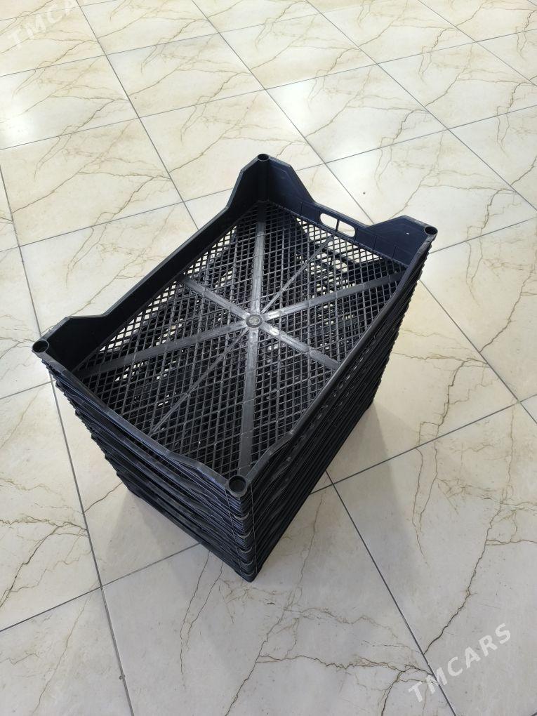 Pomidor yaşşik - Чоганлы - img 2