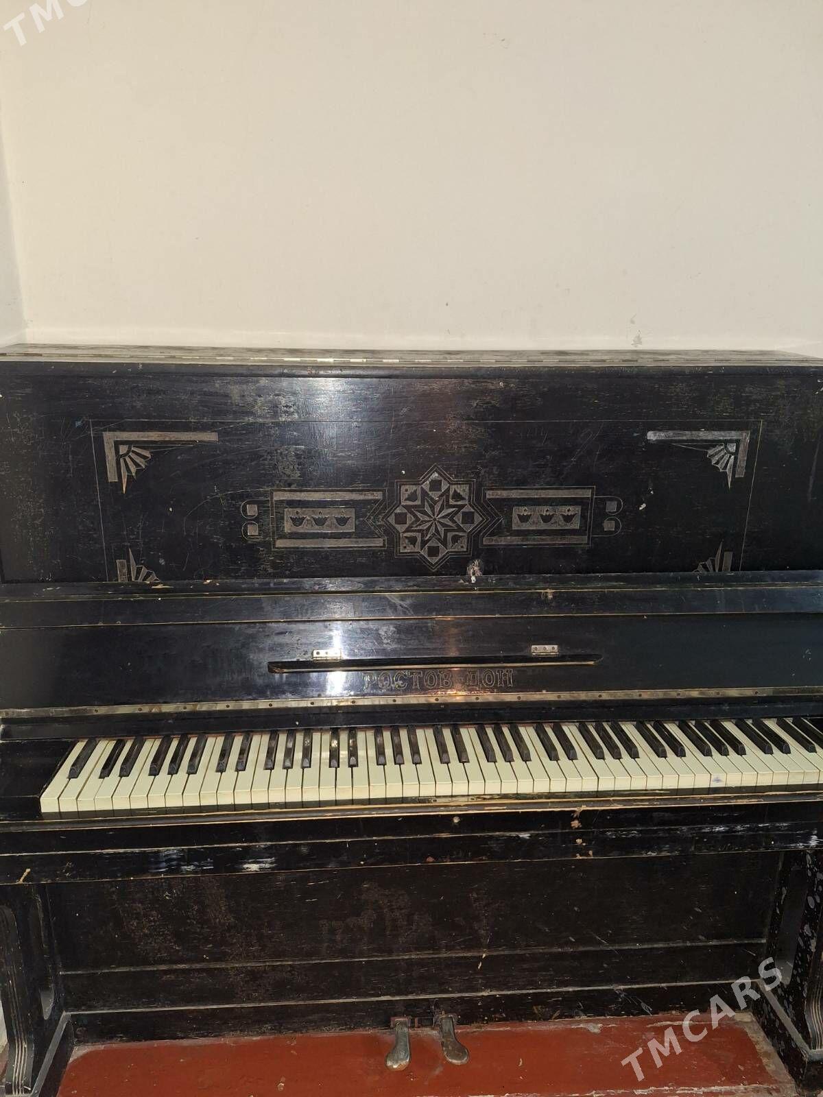 Piyanino - Änew - img 1