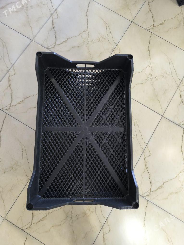 Pomidor yaşşik - Чоганлы - img 3