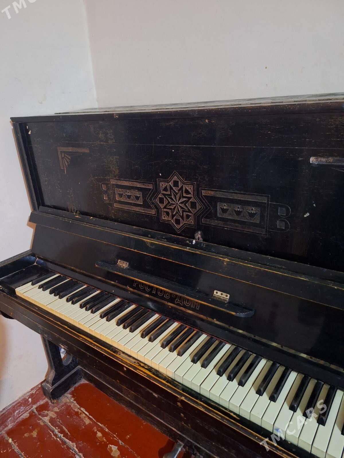 Piyanino - Анев - img 2