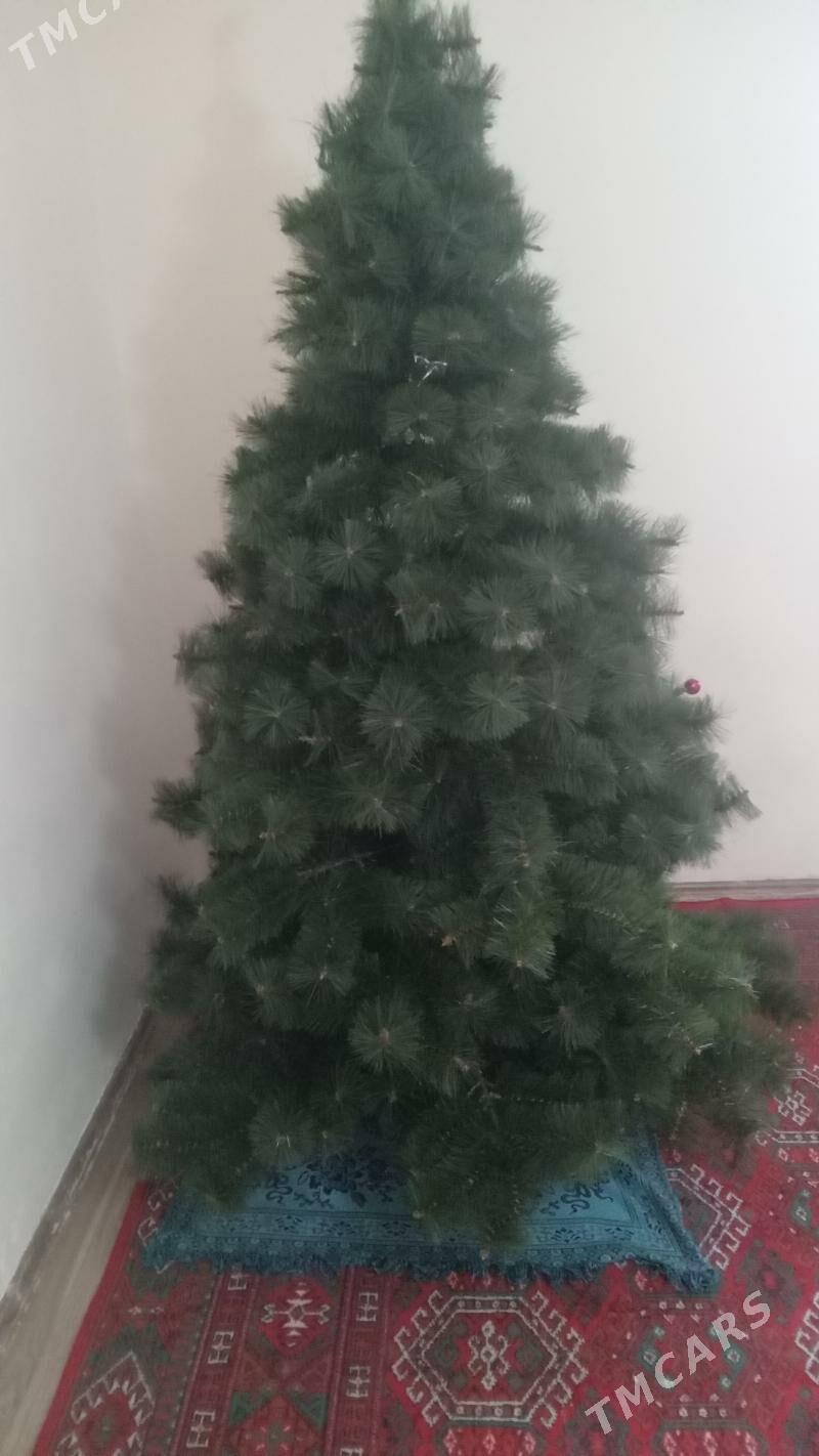 ÿolka yoka яолка - Ашхабад - img 2