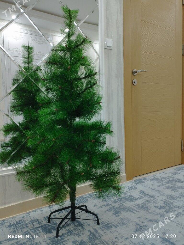 yolka - Ашхабад - img 1