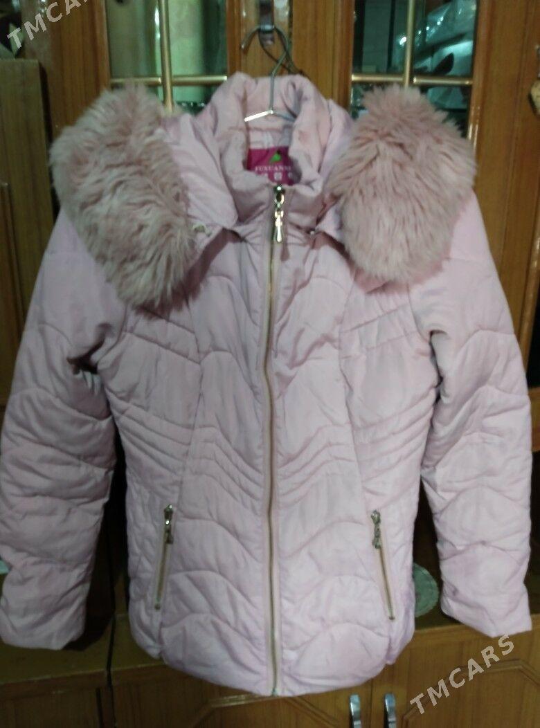 kurtkalar - Гызыларбат - img 2