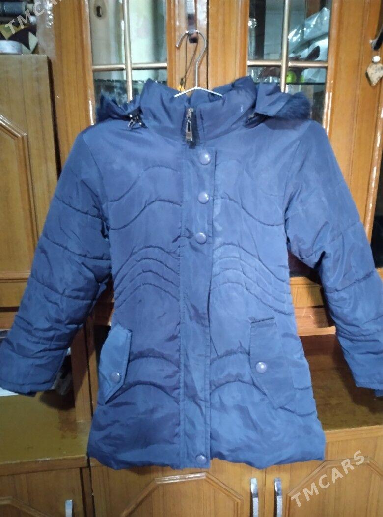 kurtkalar - Гызыларбат - img 3