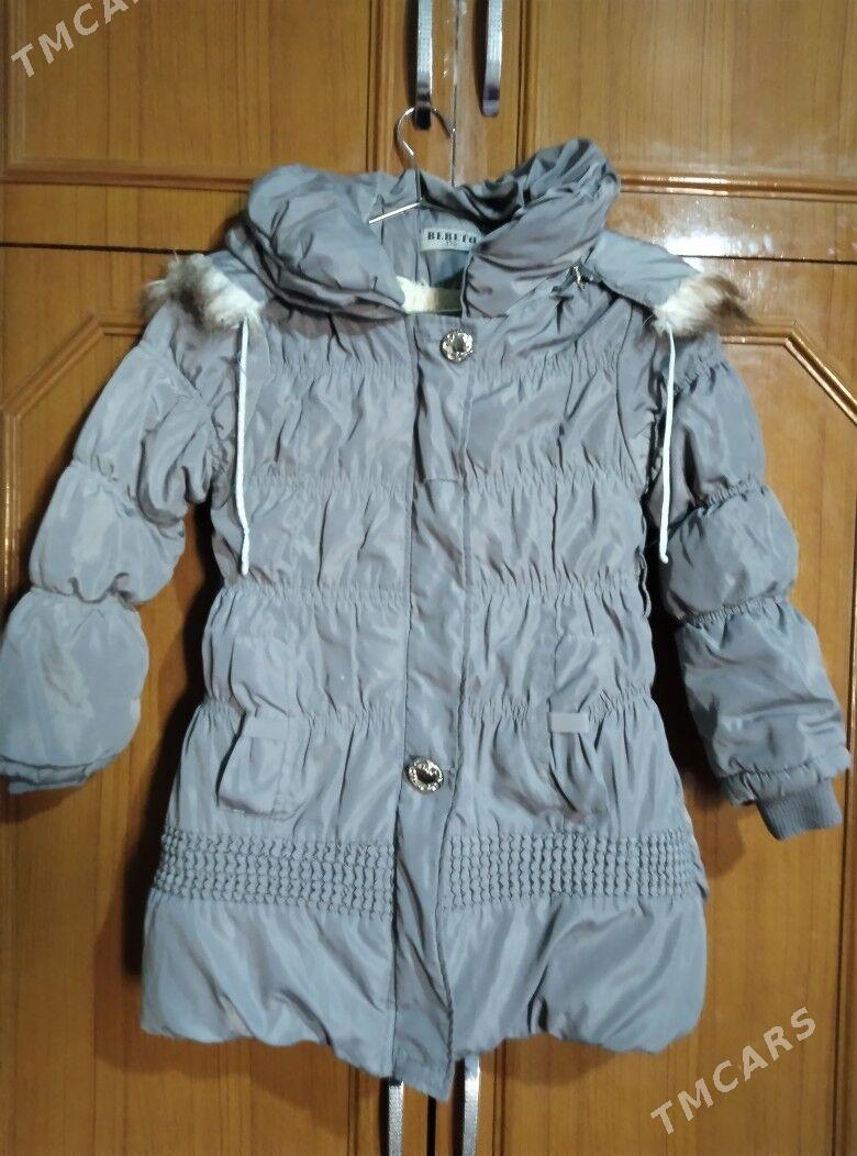 kurtkalar - Гызыларбат - img 1